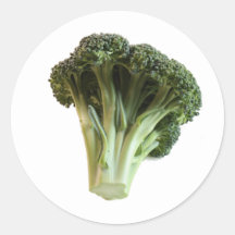 Groene Broccoli Bloem Verse Groente