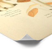 groene bruine paddenstoelen Kunst print Frans (Hoek)