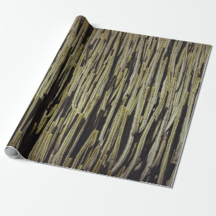 Groene cactus cadeaupapier