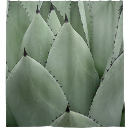 Groene cactus douchegordijn (Voorkant)