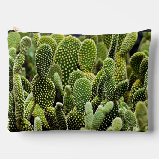 Groene cactus etui (Voorkant)