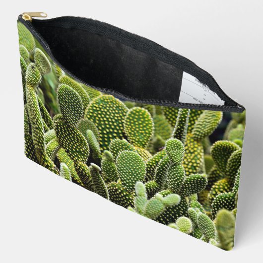 Groene cactus etui (Open)
