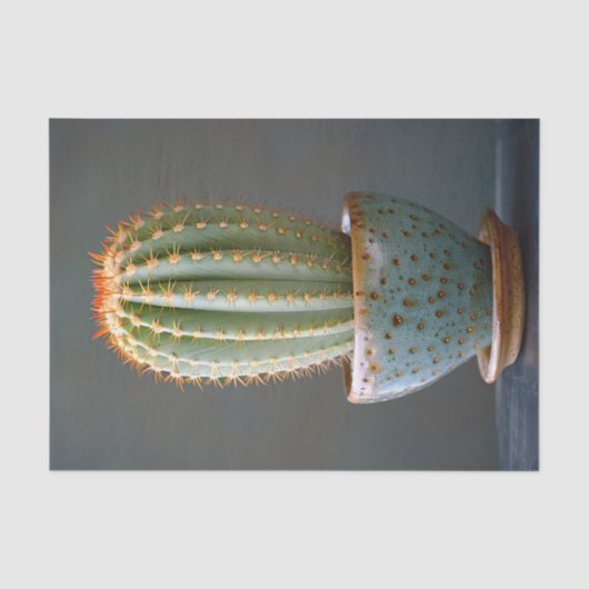 Groene Cactus in een Blauwgroen keramische pot Dec Tissuepapier (Voorkant)