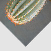 Groene Cactus in een Blauwgroen keramische pot Dec Tissuepapier (Detail)