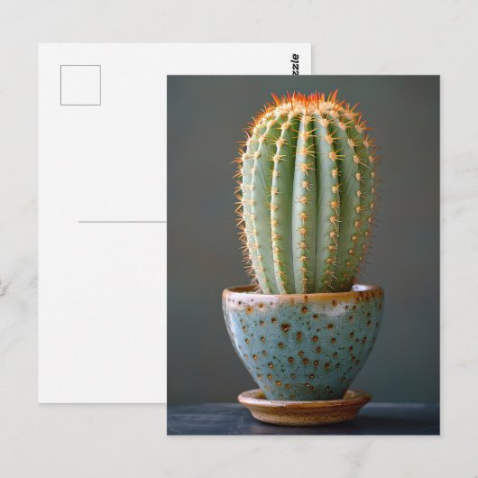 Groene Cactus in een Blauwgroen keramische potfoto Briefkaart (Voorkant / Achterkant)