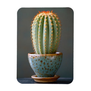 Groene Cactus in een Blauwgroen keramische potfoto Magneet