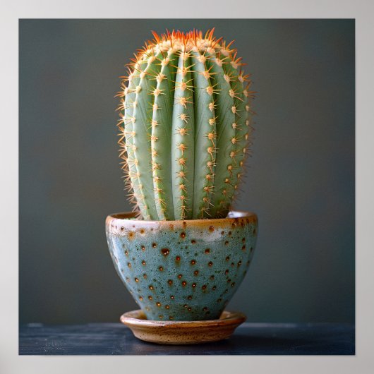 Groene Cactus in een Blauwgroen keramische potfoto Poster (Voorkant)
