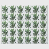 Groene cactus: minimalistische witte achtergrond cadeaupapier (Vlak)