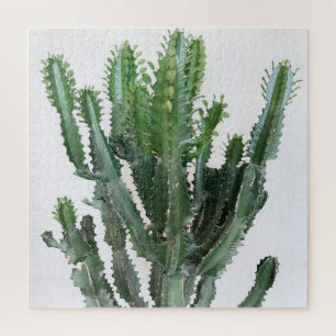 Groene cactus: minimalistische witte achtergrond legpuzzel