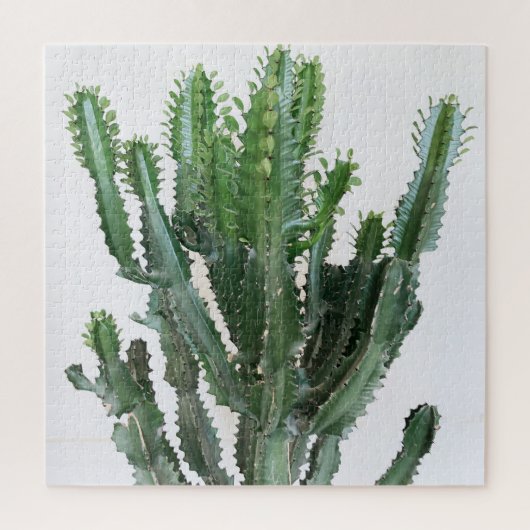 Groene cactus: minimalistische witte achtergrond legpuzzel (Verticaal)