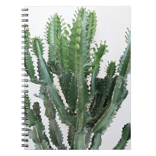 Groene cactus: minimalistische witte achtergrond notitieboek (Voorkant)