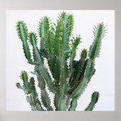 Groene cactus: minimalistische witte achtergrond poster (Voorkant)