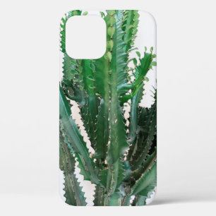 Groene cactus op witte achtergrond. Case-Mate iPhone case