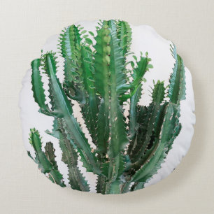 Groene cactus op witte achtergrond. rond kussen