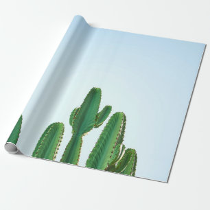 Groene cactus plant op witte achtergrond cadeaupapier