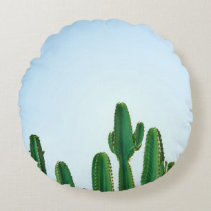 Groene cactus plant op witte achtergrond rond kussen