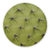 Groene cactus prikt deur en lade pull knoppen (Voorkant)