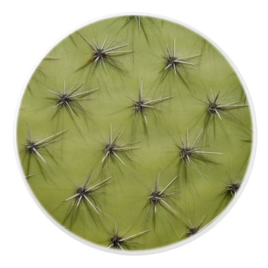 Groene cactus prikt deur en lade pull knoppen (Voorkant)