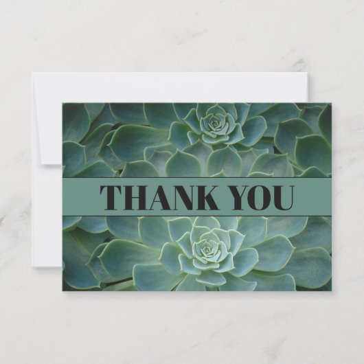 Groene Cactus / Succulenten Bedankkaart (Voorkant)