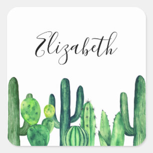 Groene cactus. Waterverf cactussen. Naam. botanisc Vierkante Sticker