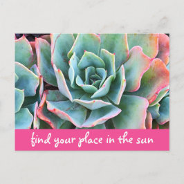 Groene cactusfotografie vindt uw plaats in de zon briefkaart