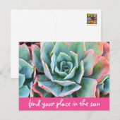 Groene cactusfotografie vindt uw plaats in de zon briefkaart (Voorkant / Achterkant)
