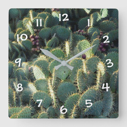 Groene cactussen vierkante klok (Voorkant)