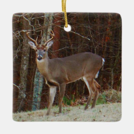 Groene Camo, Camouflage Deer gepersonaliseerd Keramisch Ornament (Voorkant)
