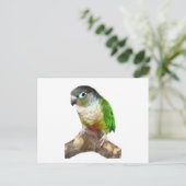 Groene Cheek Conure Briefkaart (Staand voorkant)