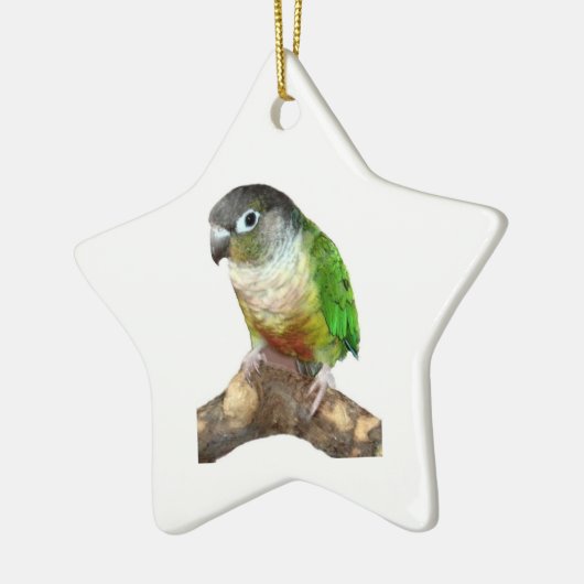 Groene Cheek Conure Keramisch Ornament (Links)