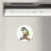 Groene Cheek Conure Magneet (Insitu (Vaatwasser))