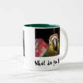 Groene Cheek Conure Morning Person Tweekleurige Koffiemok (Voorkant rechts)