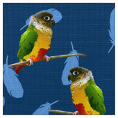 Groene Cheek Conure Paraket Fun Bird Blue Feathers Stof (Close Up)