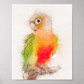Groene Cheek Conure-portret Poster (Voorkant)