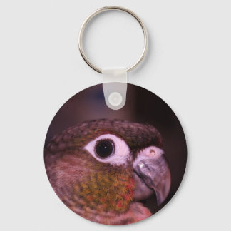 Groene Cheek Conure Sleutelhanger