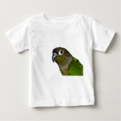 Groene Cheeked Conure (Voorkant)
