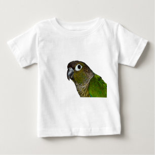 Groene Cheeked Conure