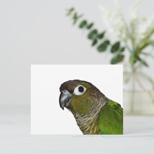 Groene Cheeked Conure Briefkaart (Staand voorkant)