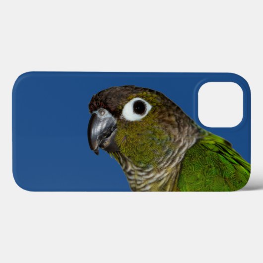 Groene Cheeked Conure Case-Mate iPhone Case (Achterkant (horizontaal))