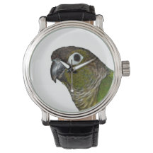 Groene Cheeked Conure