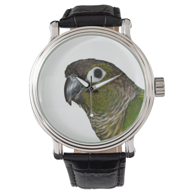 Groene Cheeked Conure Horloge (Voorkant)