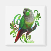 Groene Cheeked Conure Magneet (Voorkant)
