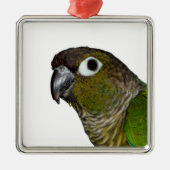 Groene Cheeked Conure Metalen Ornament (Voorkant)