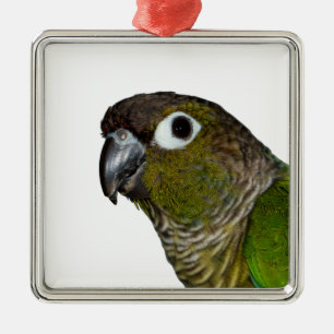 Groene Cheeked Conure Metalen Ornament