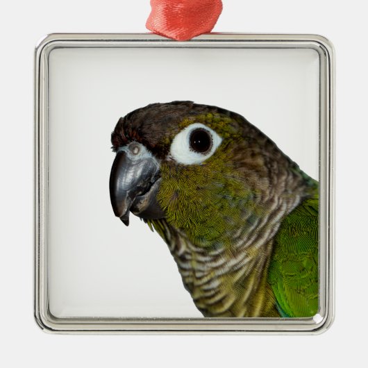 Groene Cheeked Conure Metalen Ornament (Voorkant)