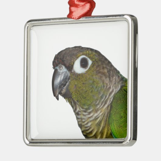 Groene Cheeked Conure Metalen Ornament (Links)