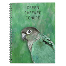 Groene Cheeked Conure - mooie vogel