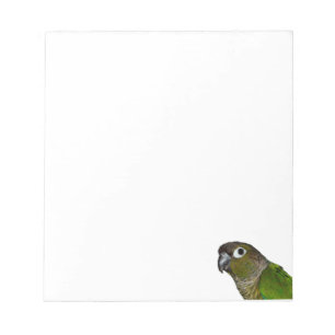 Groene Cheeked Conure Notitieblok