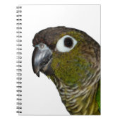 Groene Cheeked Conure Notitieboek (Voorkant)