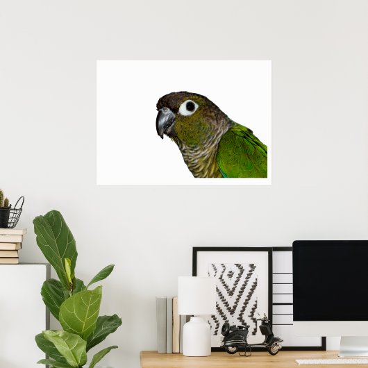 Groene Cheeked Conure Poster (Thuiskantoor)